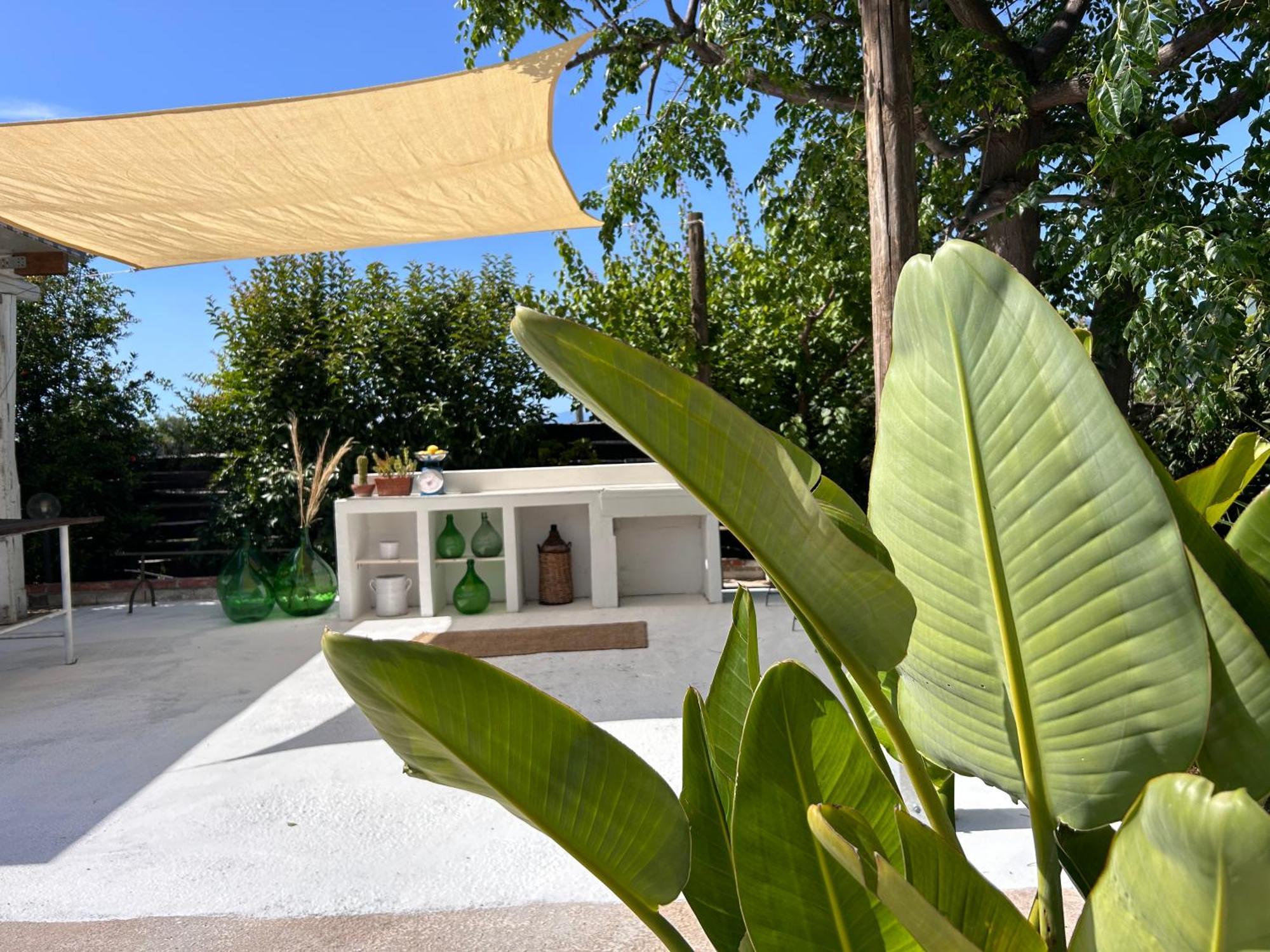 Hostal 87029House Scalea Exterior foto